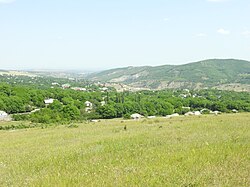 A field overlooks a hill and a valley full of trees. There are houses sporadically placed throughout the valley.