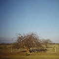 Fotografia do sertão nordestino em período de seca.