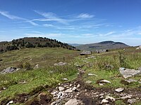 Rolling hills with scattered rocks on open grassland