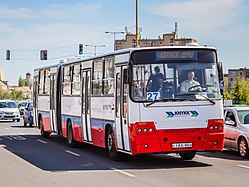 Ikarus C80 a Piac téren