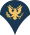 Army-USA-OR-04b.svg