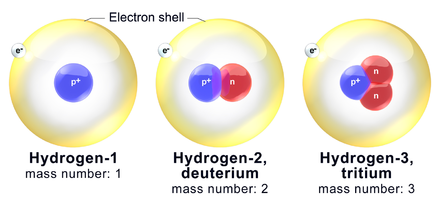 Blausen 0530 HydrogenIsotopes.png