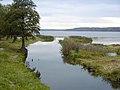 La estuaro de rivero Bolupe en Lago Balvi.