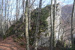 Felsen auf dem die Burg Alt-Biederthal stand