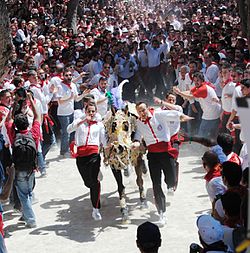 Carrera de los caballos del vinu.