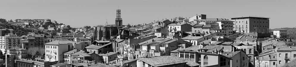 15/06: Panoràmica de Cardona vista des del castell.