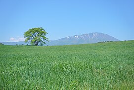 Pemandangan Gunung Iwate yang dilihat dari Koiwai Farm Park