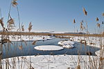 Чистилівський орнітологічний заказник. Зимовий вид на річку Серет поблизу Чистилова, © Микола Василечко, CC-BY-SA 3.0