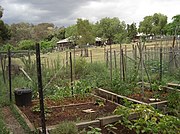 Vegetable plots at Collingwood Children's  Farm in Melbourne, Australia.