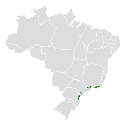 Distribución geográfica del dacnis patinegro.