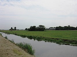 De Zuidpolder met verhoogde woonplaats bij Ruyven