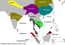 Zonas de reproducción de diversas razas según Vaurie, algunas subespecies no son consideradas válidas en la actualidad[2]​