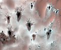 תבניות הפשרה פרקטליות על מאדים
