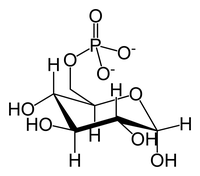 غلوكوز 6-فوسفات