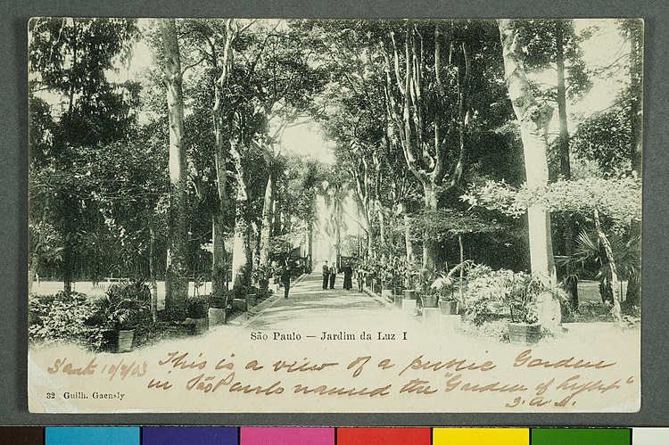 São Paulo - Jardim da Luz I, Guilherme Gaensly.