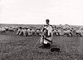Pastor de ovejas en Hortobágy, 1908.