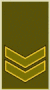 LT-Army-OR5b.gif