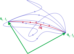 As the system evolves, q traces a path through configuration space (only some are shown). The path taken by the system (red) has a stationary action (dS = 0) under small changes in the configuration of the system (dq). Least action principle.svg