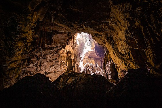 One of the many caves located in Niah National Park, Miri Sarawak. Photograph: Clayborneoguy