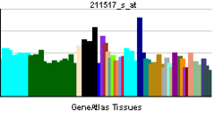 PBB GE IL5RA 211517 s ĉe tn.png