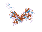 2е4y​: Кристална структура екстрацелуларног региона групе II метаботропног глутаматог рецептора у комплексу са 2R,4R-APDC