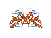 2nn2: Crystal structure of the BTB domain from the LRF/ZBTB7 transcriptional regulator