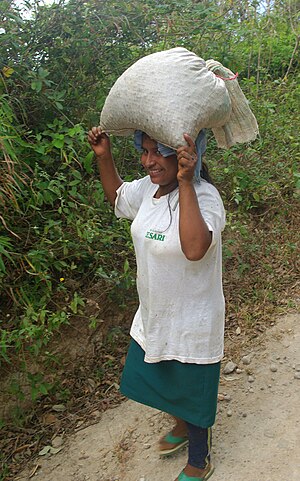 Fair trade Coffee growers in Tacuba in the Par...