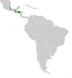 Distribución geográfica del tirahojas mexicano.