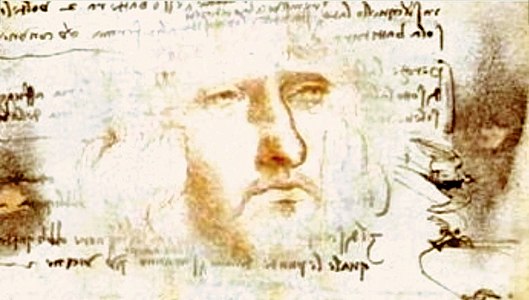 Autoportrait (supposé) de Léonard, (environ 35 ans), découvert en 2009, dans le Codex