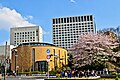 Sophia University, Tokyo, Japan