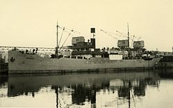 Ss Norma, Fo215751.jpg
