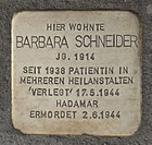 Stolpersteine Bodenheim Schneider Barbara.jpg