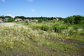 terrain en friche