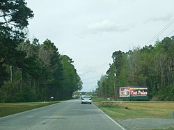 Driving northbound on US 301-501 just before entering Hamer.