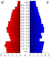 Bevolkingspiramide Howell County