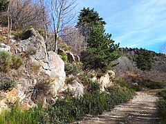 Affleurement de granite hercynien (c. 300Ma), Puig del Rocater.