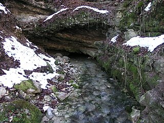 Wulfbachquelle bei Mühlheim an der Donau