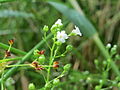 Miniatuurafbeelding voor de versie van 27 jun 2015 23:45