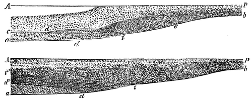 Fig. 10 en 11. Volgende toestanden eener delta-vorming.