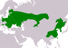 Distribución de Apodemus agrarius