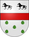 Blason