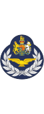 British RAF (Aircrew) OR-9.svg