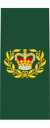 Канадская армия OR-8.svg