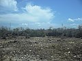 Chicxulub Puerto, Yucatán.