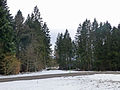 Miniatura para Arboretum du Col du Las