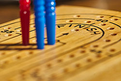 Cribbage board with pegs2.jpg
