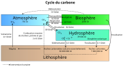 Vignette pour Cycle du carbone