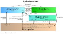 Cycle du carbone2.svg