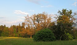 Dobříšský park