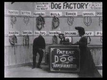 Файл: Dog Factory (1904) .ogv
